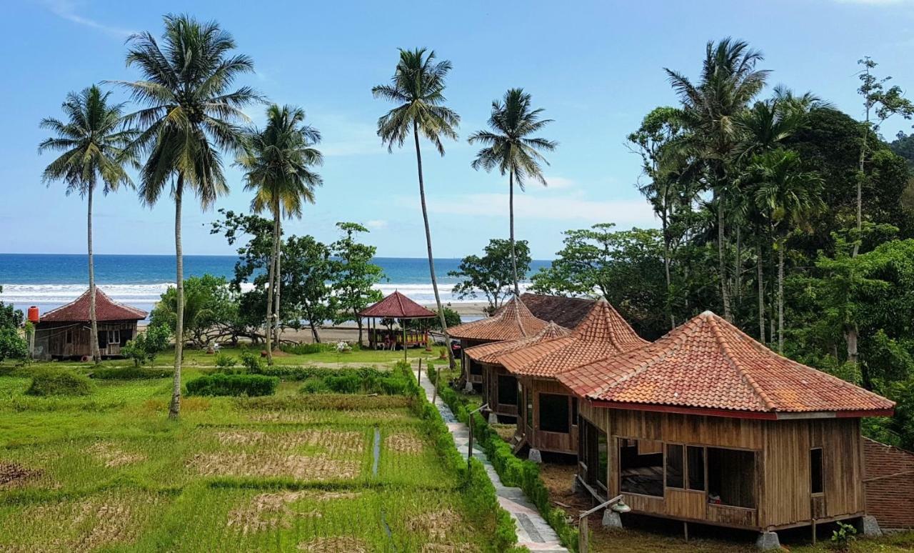 Revive Lampung Krui King Resort Bagian luar foto